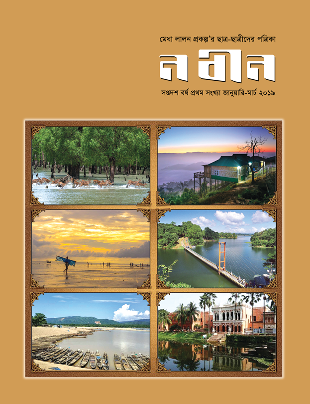 Publication Image